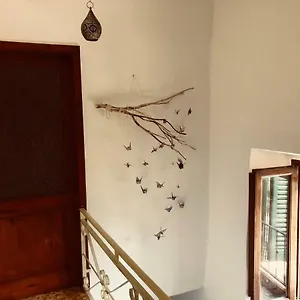 Pausa Tè Per L'anima - Casa Cortona